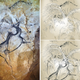 Illustration for article titled There's Something Incredible in This 40,000 Year Old Cave Painting